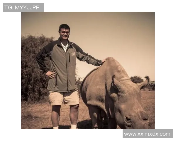 姚明：中国篮球的传奇巨星与全球体育文化的桥梁